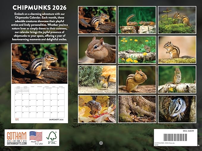 Chipmunk Calendar 2026 Wall 12 Month Monthly Chipmunk Gifts For Chipmunks Lovers Women Men Mom Dad | American Made In The US