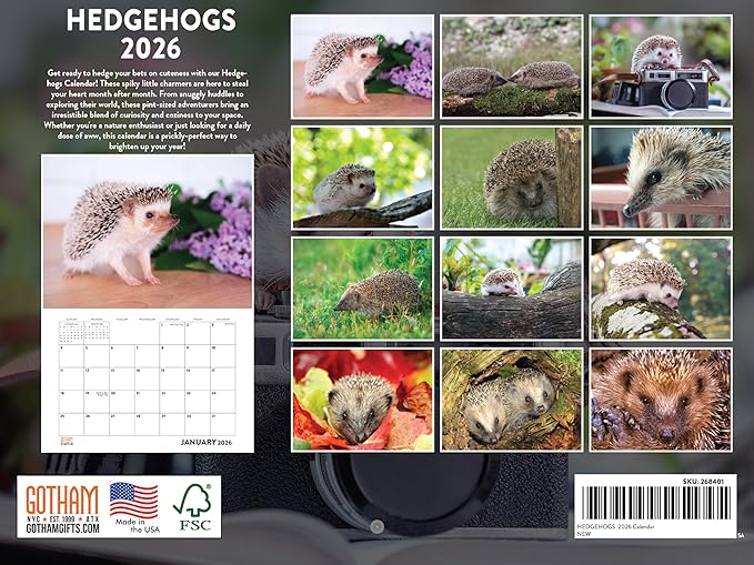 Hedgehog Calendar 2026 Monthly Wall Calender 12 Month | American Made In The USA