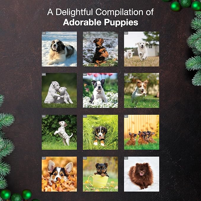 MICASA PRESS Puppies 2026 Wall Calendar 12 Month | 12" x 24" Open | Thick & Sturdy Paper | Giftable | Cute Puppy Dog Calendar 2026