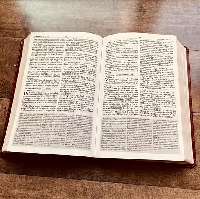 Personalized KJV Study Bible, Son of a King Lion Design, Custom Engraved Name, Christian Gift, Baptism Gift, Bible Gift for Him