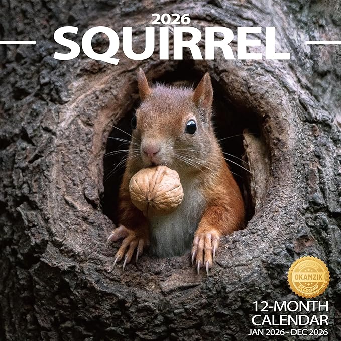 2026 Wall Calendar Squirrel Planner Calendar, Hangable Monthly Wall Calendar with Large Blocks for Organizing & Planning, Academic Schedule, Home, Office & family, Thick & Sturdy Paper (12"x24" Open)