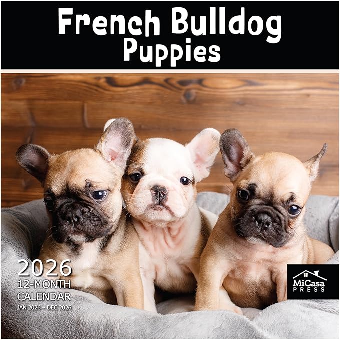 MICASA PRESS French Bulldog Puppies 2026 Wall Calendar 12 Month | 12" x 24" Open | Thick & Sturdy Paper | Giftable | Cute Frenchie Puppy Dog Calendar 2026