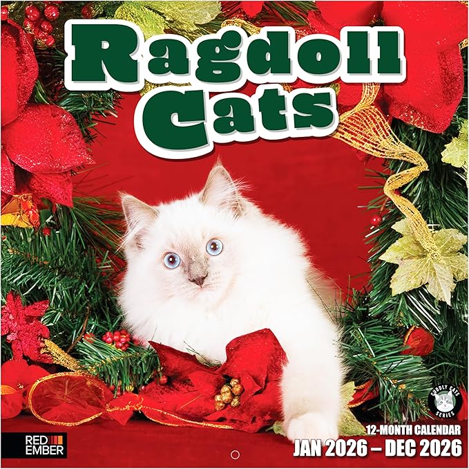 RED EMBER Ragdoll Cats 2026 Wall Calendar 12 Month | 12" x 24" Open | Thick & Sturdy Paper | Giftable | Cute Kitten Cat Calendar 2026