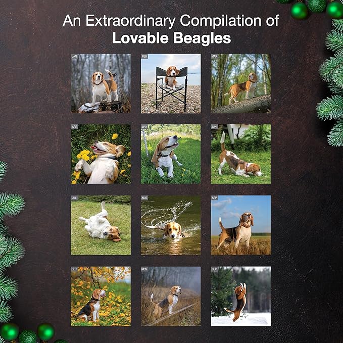 MICASA PRESS Beagles 2026 Wall Calendar 12 Month | 12" x 24" Open | Thick & Sturdy Paper | Giftable | Cute Puppy Dog Calendar 2026