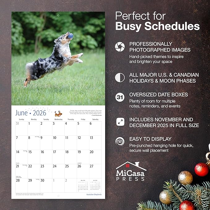 MICASA PRESS Australian Shepherds Aussies 2026 Wall Calendar 12 Month | 12" x 24" Open | Thick & Sturdy Paper | Giftable | Cute Puppy Dog Calendar 2026