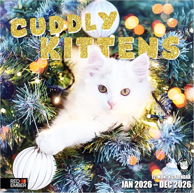RED EMBER Cuddly Kittens 2026 Wall Calendar 12 Month | 12" x 24" Open | Thick & Sturdy Paper | Giftable | Cute Kitten Cat Calendar 2026