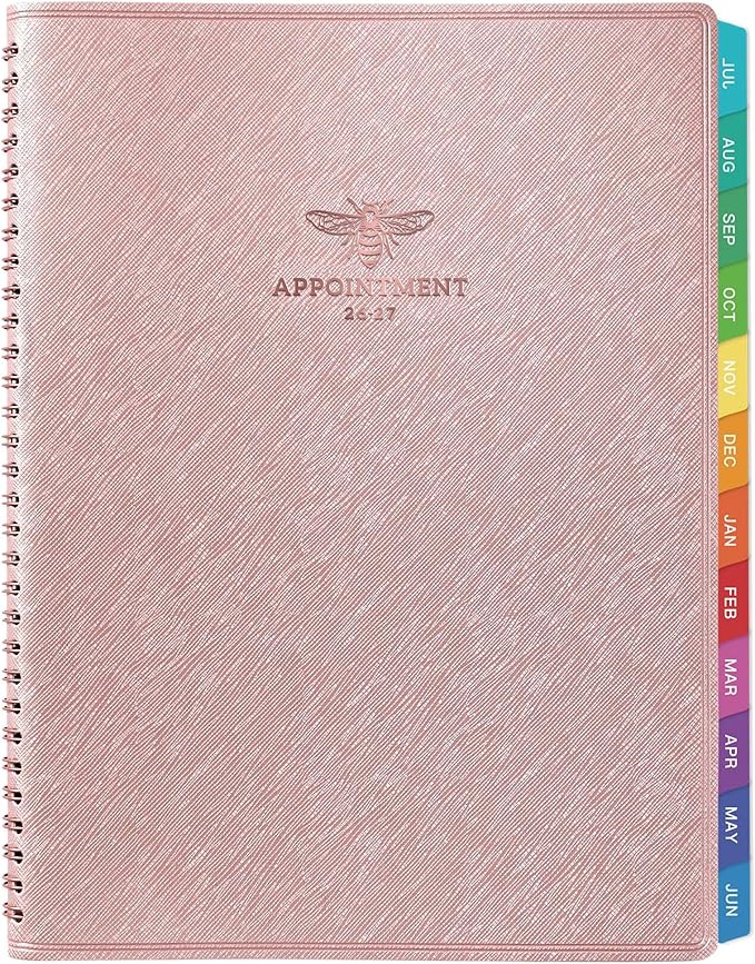 2026-2027 Appointment Book/Planner - Appointment Planner 2026-2027, July 2026 - June 2027, 11" x 9", 26-27 Daily Hourly Planner with 15-Minute Interval, Colorful Tabs - Rose Gold