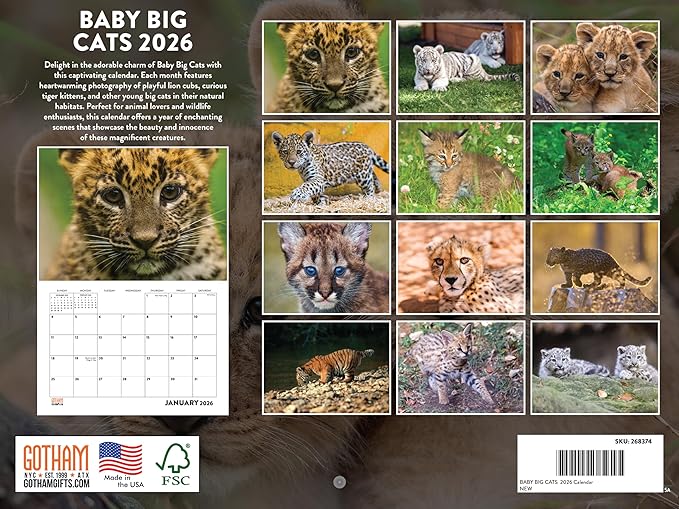 Baby Big Cat Calendar 2026 Cubs Monthly Wall Calender 12 Month | American Made In The USA