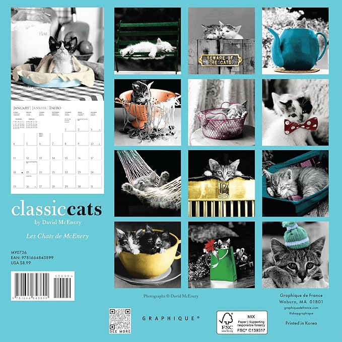 Graphique 2026 Classic Cats Mini Wall Calendar | 7” x 7” | Thick Paper | Home & Office Organizer | Large Monthly Grid | 3 Languages & Marked Holidays | 4 Month Preview Page for 2027