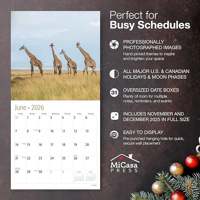 MICASA PRESS Giraffes 2026 Wall Calendar 12 Month | 12” x 24” Open | Thick & Sturdy Paper | Giftable | Animal Calendar 2026