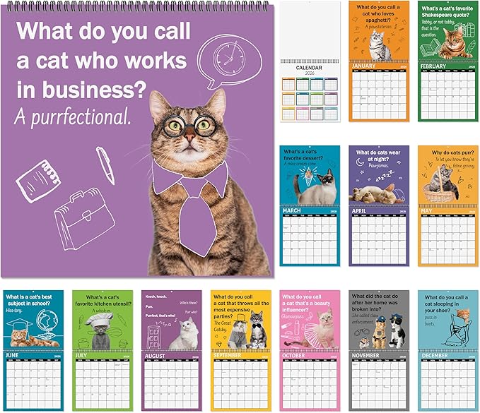 JAPBOR Cute Cat Calendar 2026 - Funny Cats Joke Pun Wall Calendar, 12 Months Hanging Planner with Thick Paper, Animals Weekly Monthly Home Office Organizer for New Year Christmas Gifts (11" x 11")