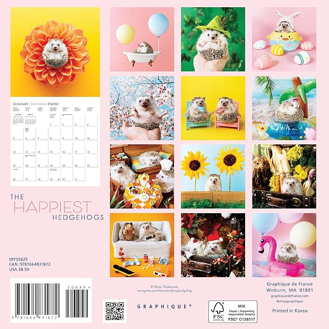 Graphique 2025 Happiest Hedgehogs Mini Wall Calendar | 7” x 7” | Thick Paper | Home & Office Organizer | Large Monthly Grid | 3 Languages & Marked Holidays | 4 Month Preview Page for 2026