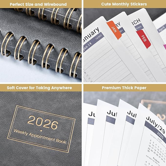 2026 Appointment Book & Planner - 2026 Daily Hourly Planner, JAN 2026 - DEC 2026, 9" x 11", 2026 Planners, 2026 Weekly Appointment Book with 15-Minute Interval, To Do List, Colorful Tabs, Leather Cover - Grey