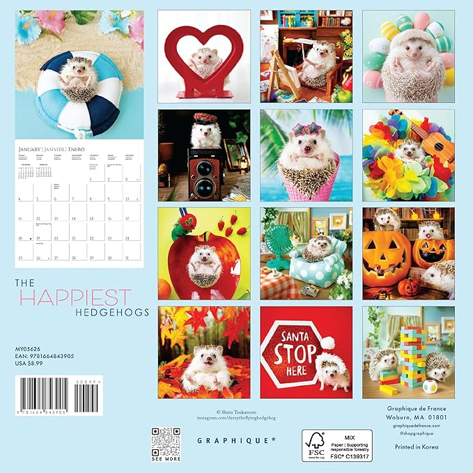 Graphique 2026 Happiest Hedgehogs Mini Wall Calendar | 7” x 7” | Thick Paper | Home & Office Organizer | Large Monthly Grid | 3 Languages & Marked Holidays | 4 Month Preview Page for 2027
