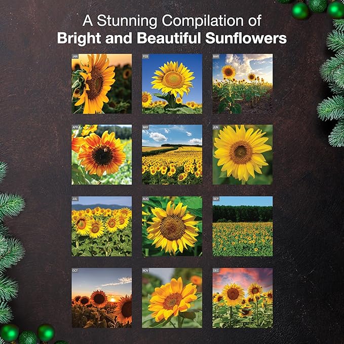 MICASA PRESS Sunflowers 2026 Wall Calendar 12 Month | 12" x 24" Open | Thick & Sturdy Paper | Giftable | Nature Calendar 2026