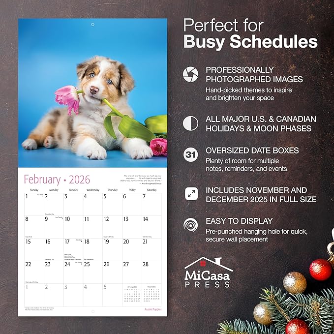 MICASA PRESS Aussie Puppies Australian Shepherds 2026 Wall Calendar 12 Month | 12" x 24" Open | Thick & Sturdy Paper | Giftable | Cute Puppy Dog Calendar 2026