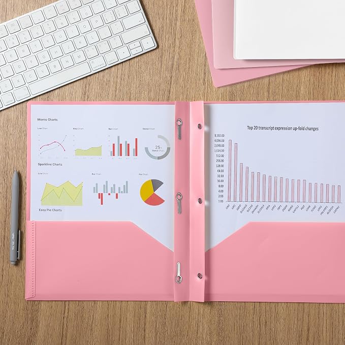 Mr. Pen- Plastic Folders with Pockets and Prongs, 5 Pack, Dusty Rose Colors, File Folders with Fasteners, 2 Pocket Folder