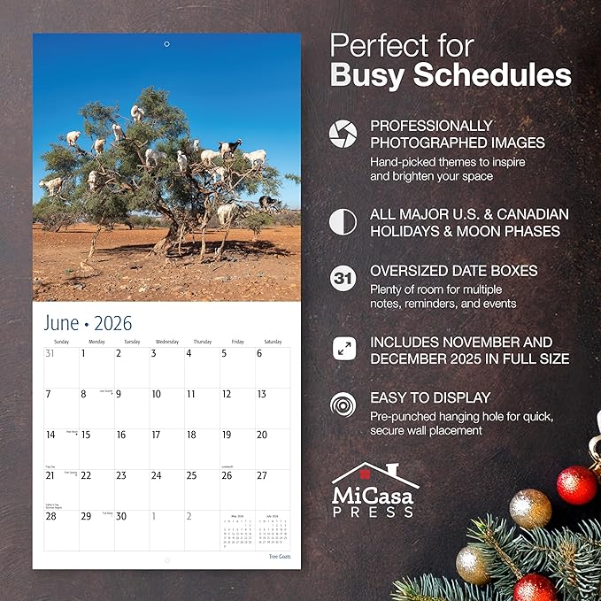 MICASA PRESS Tree Goats 2026 Wall Calendar 12 Month | 12” x 24” Open | Thick & Sturdy Paper | Giftable | Funny Animal Calendar 2026