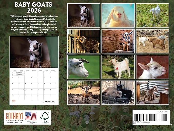 Baby Goat Calendar 2026 Monthly Wall Calender 12 Month | American Made In The USA