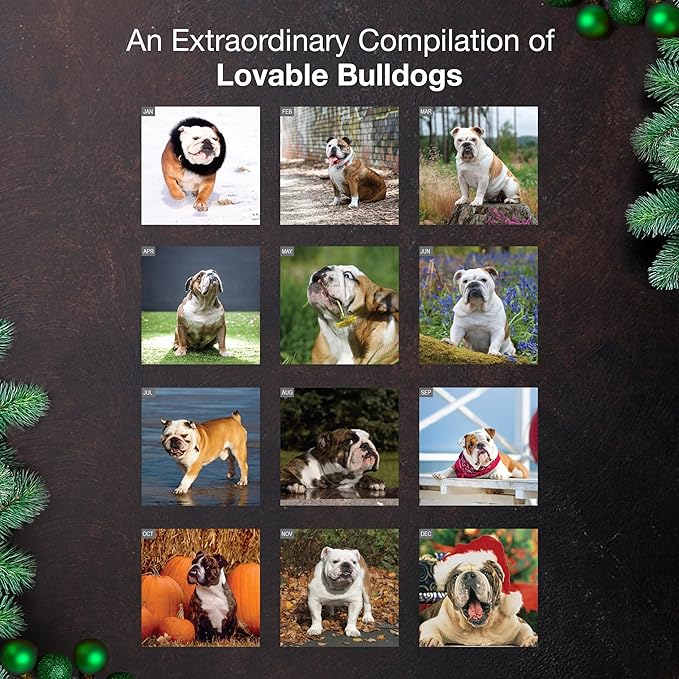 MICASA PRESS Bulldogs 2026 Wall Calendar 12 Month | 12" x 24" Open | Thick & Sturdy Paper | Giftable | Cute Puppy Dog Calendar 2026