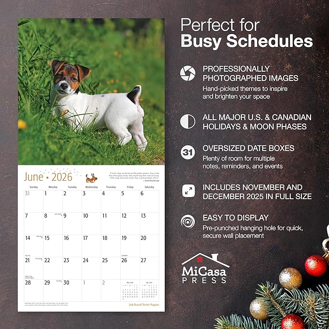 MICASA PRESS Jack Russell Terrier Puppies 2026 Wall Calendar 12 Month | 12" x 24" Open | Thick & Sturdy Paper | Giftable | Cute Puppy Dog Calendar 2026