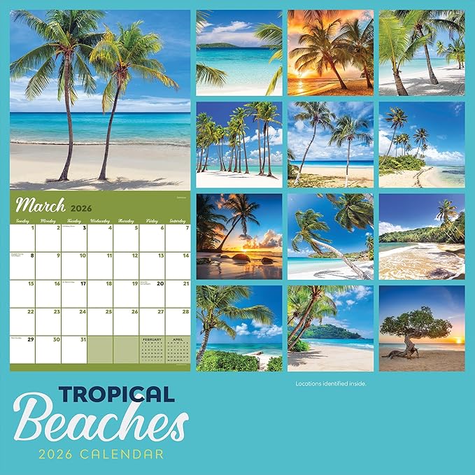 TF Publishing 2026 Tropical Beaches Wall Calendar - Large Grids for Appointments and Scheduling - Vertical Monthly Wall Calendar 2026 w/Premium Gloss Paper for Home and Office Organization - 12x12in