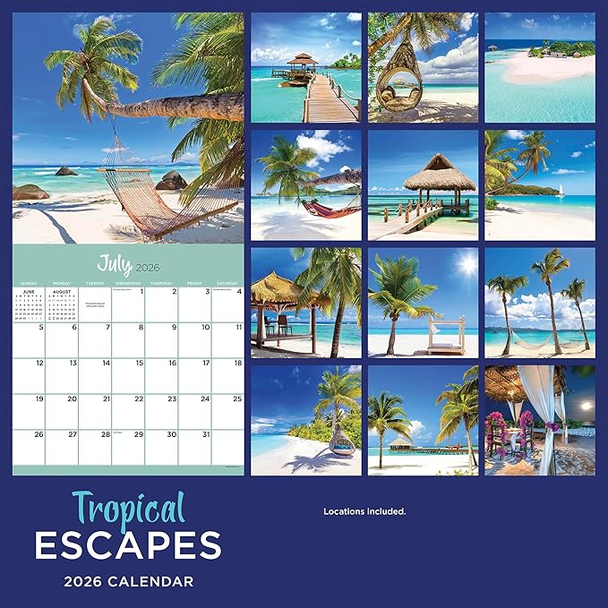 TF Publishing 2026 Tropical Escapes Wall Calendar - Large Grids for Appointments and Scheduling - Vertical Monthly Wall Calendar 2026 w/Premium Gloss Paper for Home and Office Organization - 12x12in