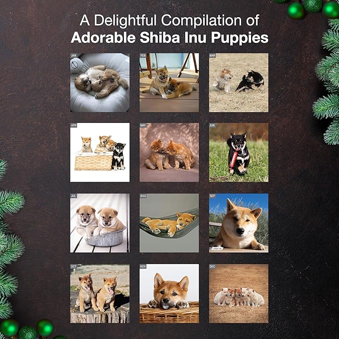 MICASA PRESS Shiba Inu Puppies 2026 Wall Calendar 12 Month | 12" x 24" Open | Thick & Sturdy Paper | Giftable | Cute Puppy Dog Calendar 2026
