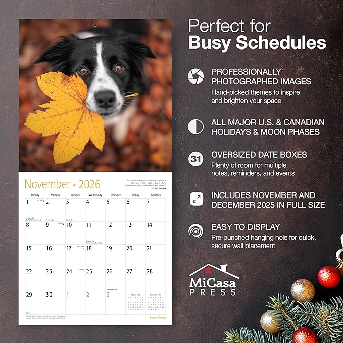 MICASA PRESS Border Collies 2026 Wall Calendar 12 Month | 12" x 24" Open | Thick & Sturdy Paper | Giftable | Cute Puppy Dog Calendar 2026