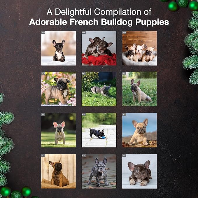 MICASA PRESS French Bulldog Puppies 2026 Wall Calendar 12 Month | 12" x 24" Open | Thick & Sturdy Paper | Giftable | Cute Frenchie Puppy Dog Calendar 2026