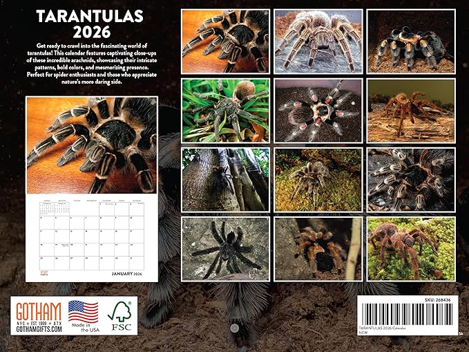 Tarantula Calendar 2026 Spider Monthly Wall Calender 12 Month | American Made In The USA