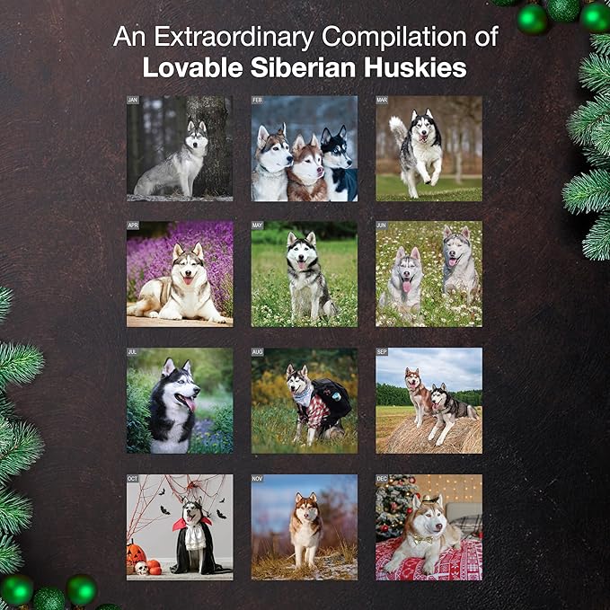 MICASA PRESS Siberian Huskies 2026 Wall Calendar 12 Month | 12" x 24" Open | Thick & Sturdy Paper | Giftable | Cute Puppy Dog Calendar 2026
