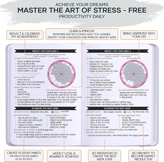 Freedom Mastery - Adhd Daily Planner, Self Care Personal Gratitude Journal to Increase Productivity & Success in Life, Include Foldable Vision Board - White Sun