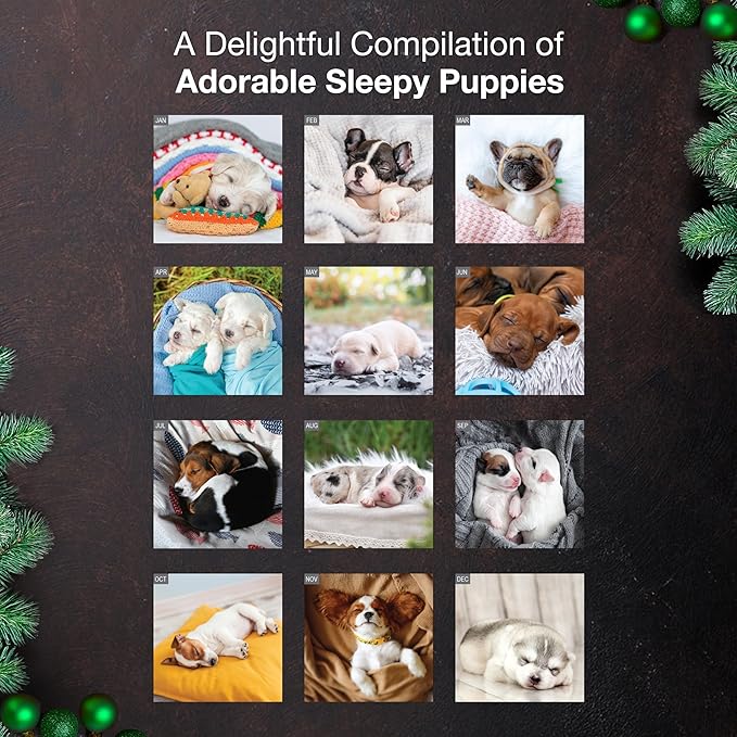 MICASA PRESS Pooped Puppies 2026 Wall Calendar 12 Month | 12" x 24" Open | Thick & Sturdy Paper | Giftable | Cute Funny Puppy Dog Calendar 2026