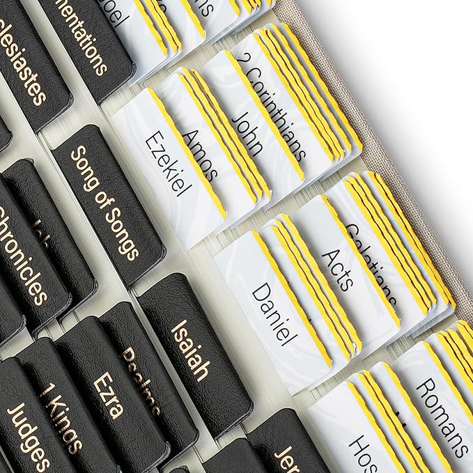 Mr. Pen- Catholic Leather Bible Tabs, 160 Tabs, Laminated Bible Tabs for Women and Men, Bible Tabs for Study Bible, Bible Index Tabs, Bible Book Tabs, Bible Labels Tabs, Mr. Pen Bible Tabs