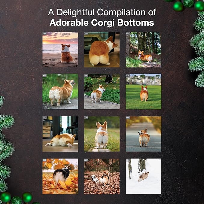 MICASA PRESS Corgi Butts 2026 Wall Calendar 12 Month | 12" x 24" Open | Thick & Sturdy Paper | Giftable | Cute Puppy Funny Dog Calendar 2026