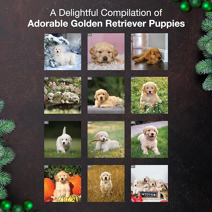 MICASA PRESS Golden Retriever Puppies 2026 Wall Calendar 12 Month | 12" x 24" Open | Thick & Sturdy Paper | Giftable | Cute Puppy Dog Calendar 2026