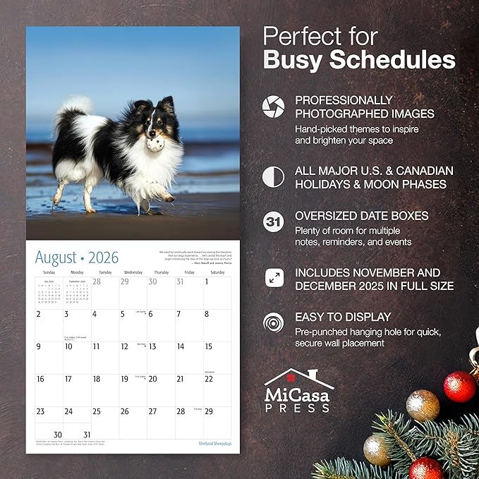 MICASA PRESS Shetland Sheepdogs 2026 Hangable Monthly Wall Calendar | 12" x 24" Open | Thick & Sturdy Paper | Giftable | Cute Sheltie Puppy Dog Calendar 2026