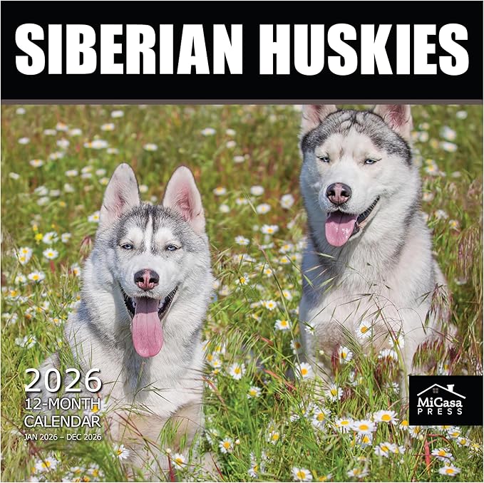 MICASA PRESS Siberian Huskies 2026 Wall Calendar 12 Month | 12" x 24" Open | Thick & Sturdy Paper | Giftable | Cute Puppy Dog Calendar 2026