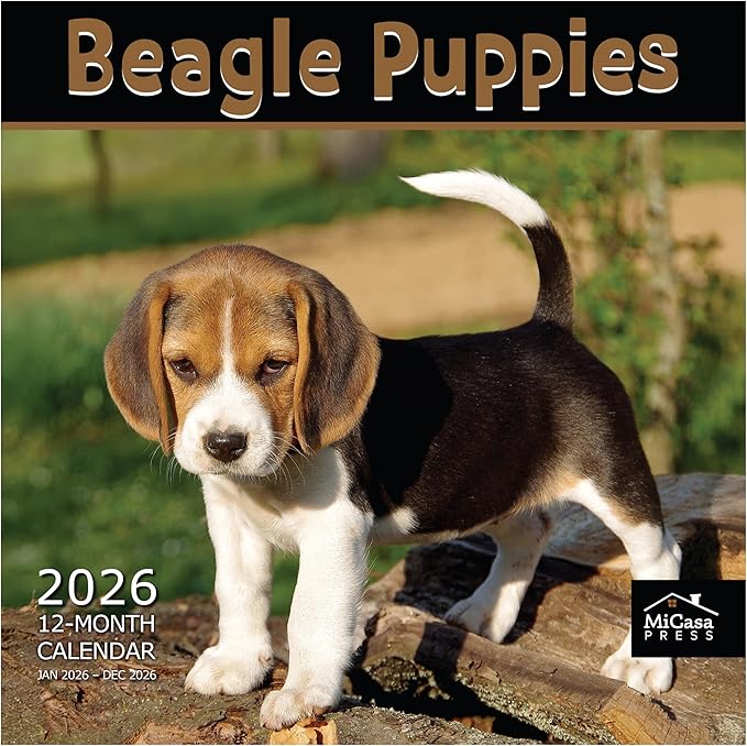 MICASA PRESS Beagle Puppies 2026 Wall Calendar 12 Month | 12" x 24" Open | Thick & Sturdy Paper | Giftable | Cute Puppy Dog Calendar 2026