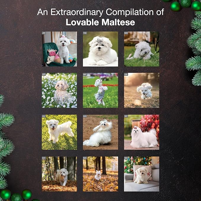 MICASA PRESS Maltese 2026 Wall Calendar 12 Month | 12" x 24" Open | Thick & Sturdy Paper | Giftable | Cute Puppy Dog Calendar 2026
