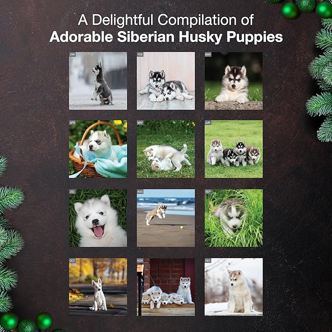 MICASA PRESS Siberian Husky Puppies 2026 Wall Calendar 12 Month | 12" x 24" Open | Thick & Sturdy Paper | Giftable | Cute Puppy Dog Calendar 2026