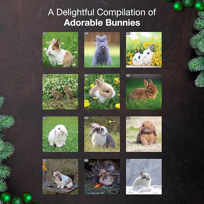 MICASA PRESS Bunnies 2026 Wall Calendar 12 Month | 12” x 24” Open | Thick & Sturdy Paper |Giftable | Cute Rabbit Animal Kids Calendar 2026