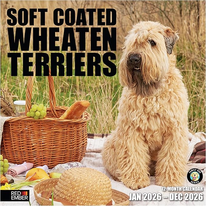 RED EMBER Soft Coated Wheaten Terriers 2026 Wall Calendar 12 Month | 12" x 24" Open | Thick & Sturdy Paper | Giftable | Cute Puppy Dog Calendar 2026
