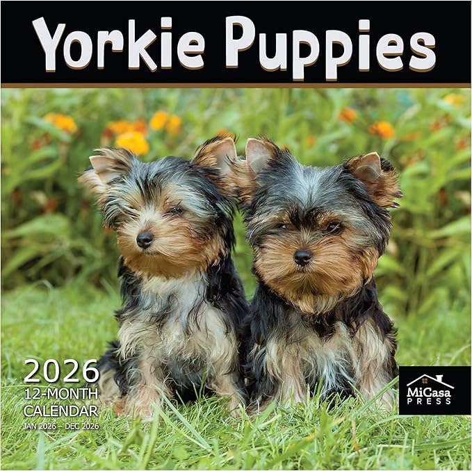 MICASA PRESS Yorkie Puppies Yorkshire Terriers 2026 Wall Calendar 12 Month | 12" x 24" Open | Thick & Sturdy Paper |Giftable | Cute Puppy Dog Calendar 2026