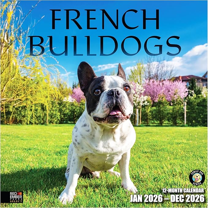 RED EMBER Select - French Bulldogs 2026 Wall Calendar 12 Month | 12" x 24" Open | Thick & Sturdy Paper | Giftable | Cute Frenchie Puppy Dog Calendar 2026