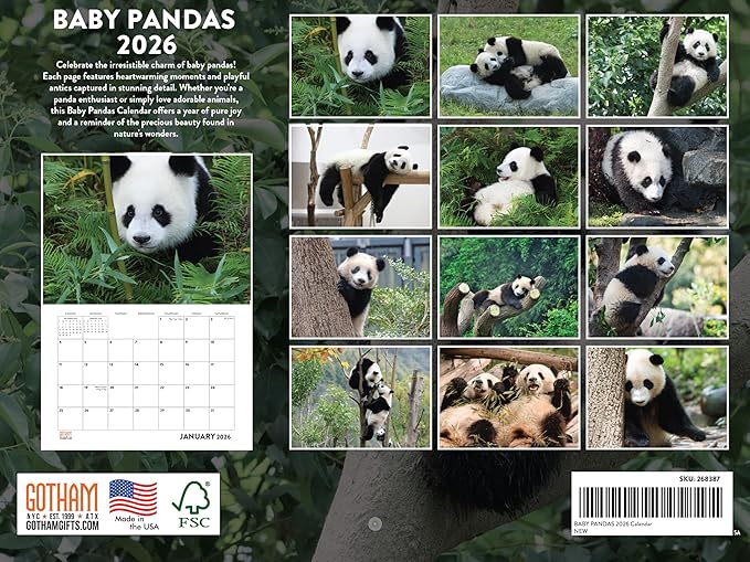 Baby Panda Calendar 2026 Monthly Wall Calender 12 Month | American Made In The USA
