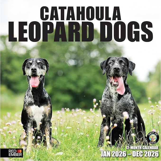 RED EMBER Catahoula Leopard Dogs 2026 Wall Calendar 12 Month | 12" x 24" Open | Thick & Sturdy Paper | Giftable | Cute Puppy Dog Calendar 2026