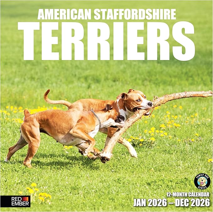 RED EMBER American Staffordshire Terriers 2026 Wall Calendar 12 Month | 12" x 24" Open | Thick & Sturdy Paper | Giftable | Cute Puppy Dog Calendar 2026