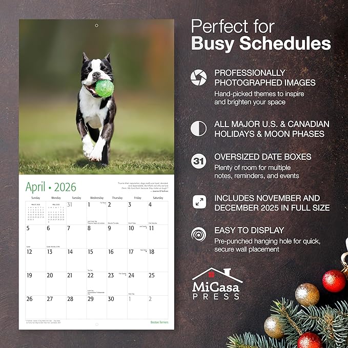 MICASA PRESS Boston Terriers 2026 Wall Calendar 12 Month | 12" x 24" Open | Thick & Sturdy Paper | Giftable | Cute Puppy Dog Calendar 2026